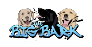 The Big Bark Podcast | Dog podcast Ireland